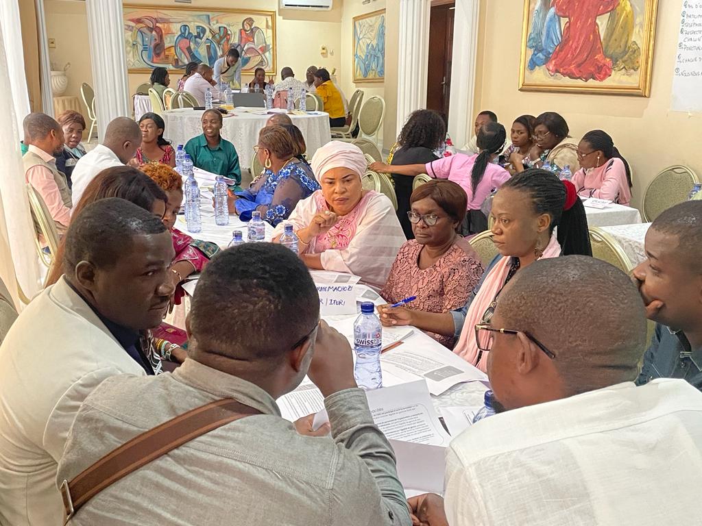 UNDP in Democratic Republic of the Congo is developing a national recognition for advancing gender capacities in national NGOs