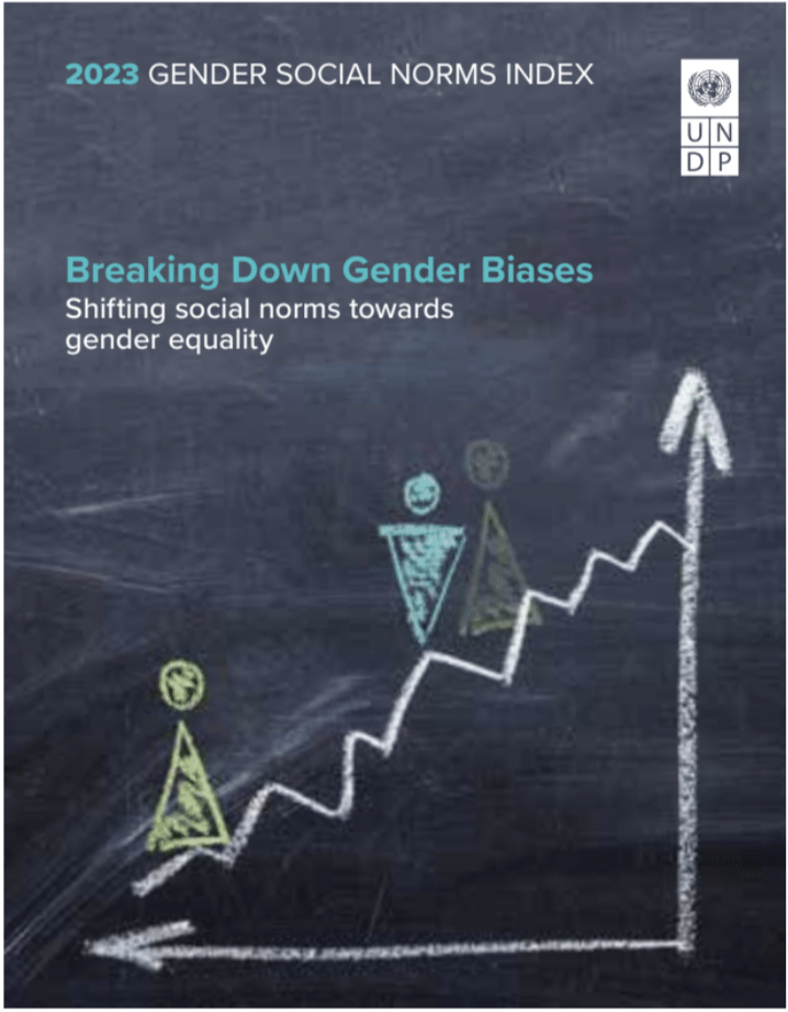 Pervasive gender social norms challenge Agenda 2030 gender equality targets